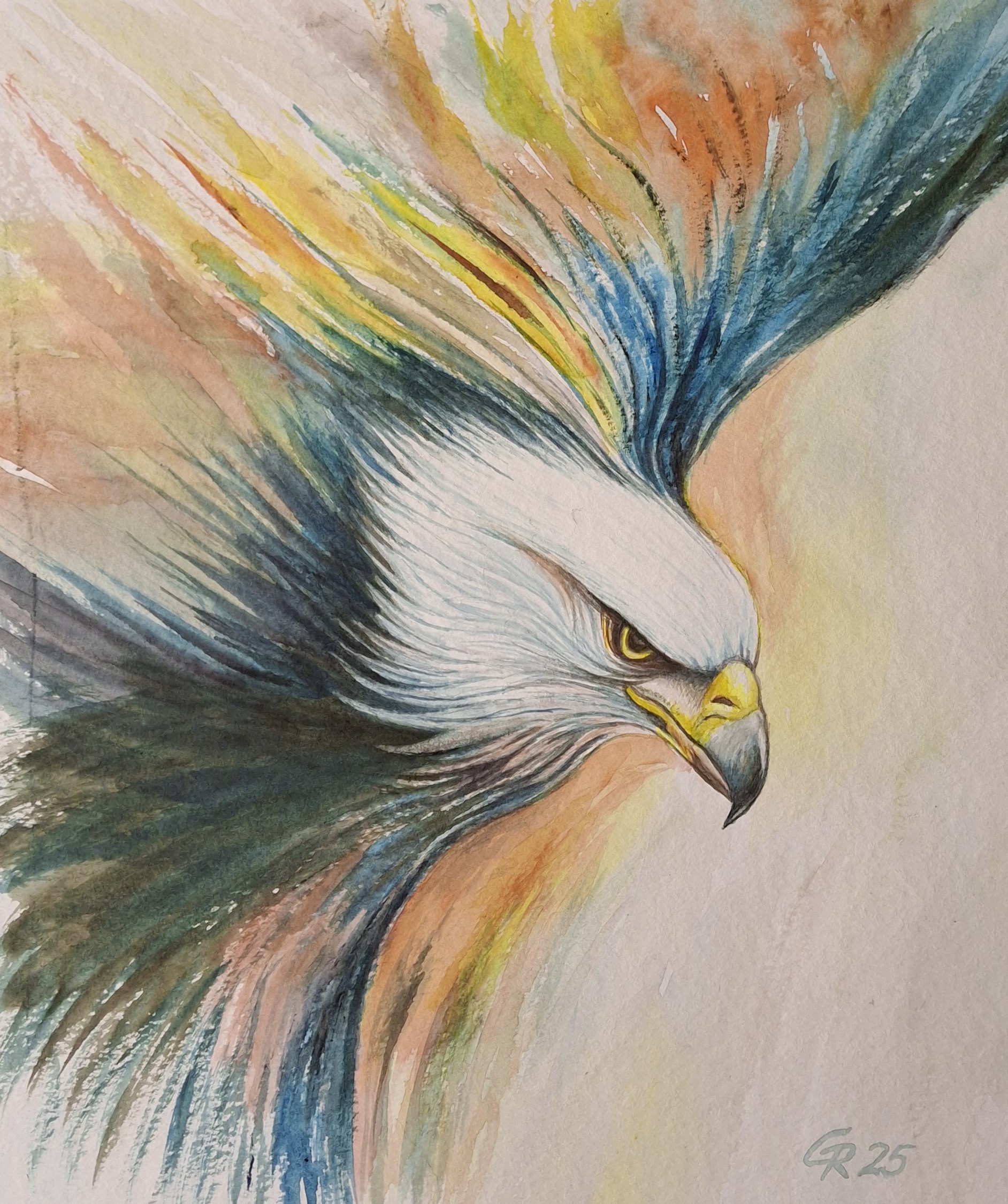 Fliegender Adler