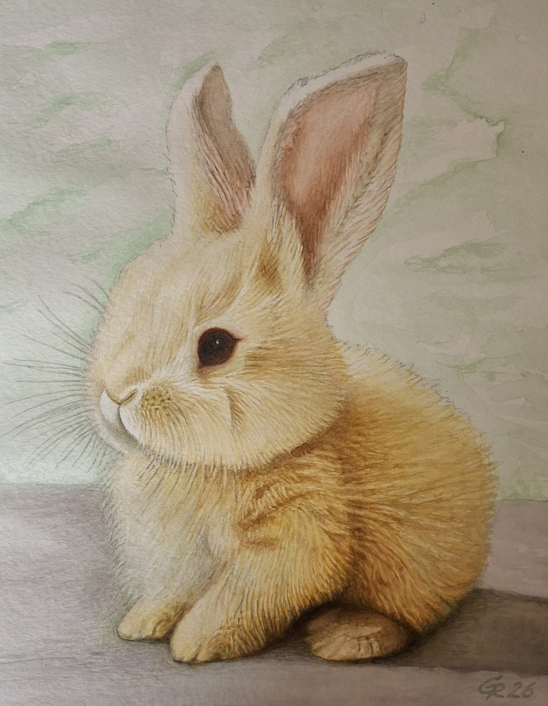 Hase