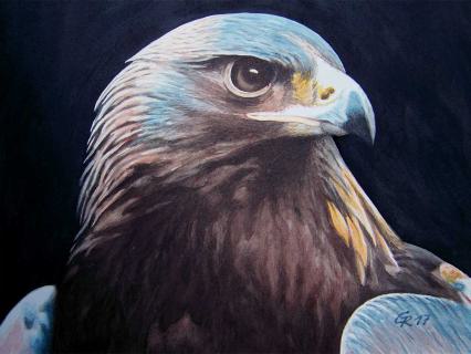 Adler