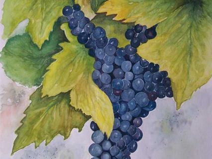Blaue Trauben