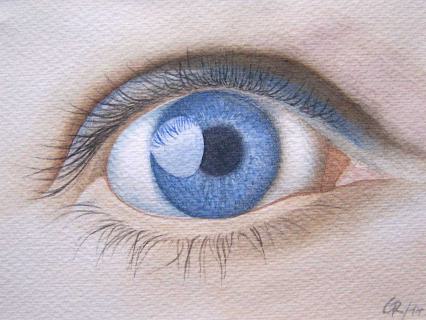 Das Auge