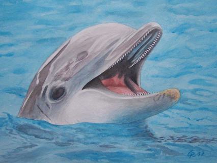 Delfin