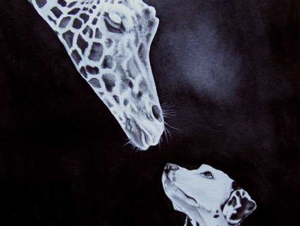 Giraffe-Hund