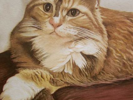 Katze 3