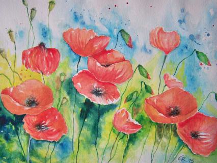 Mohnblumen