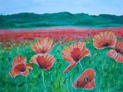 Mohnblumen