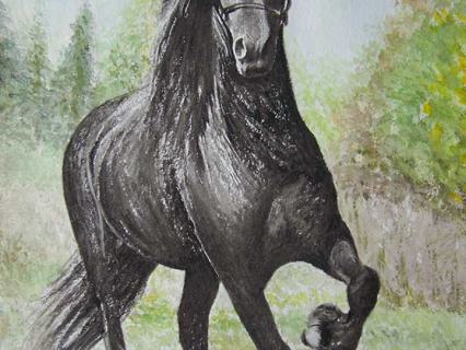 Pferd gallopiert