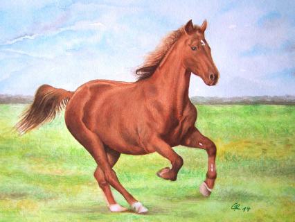 Pferd