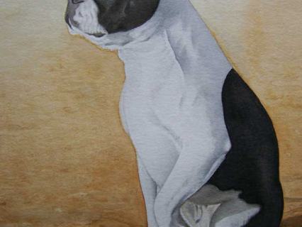 Schnauzer