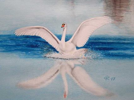 Schwan