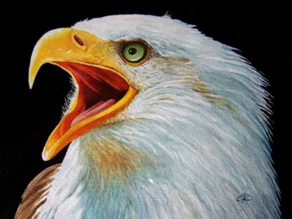 Seeadler