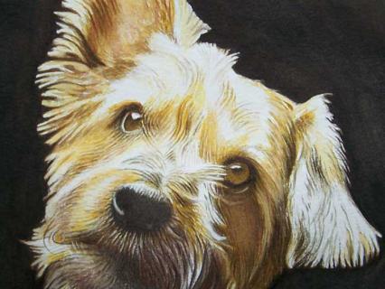 Terrier