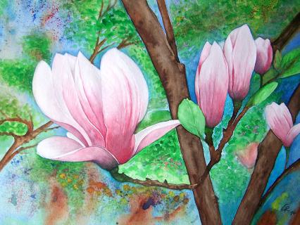 Tulpenmagnolie