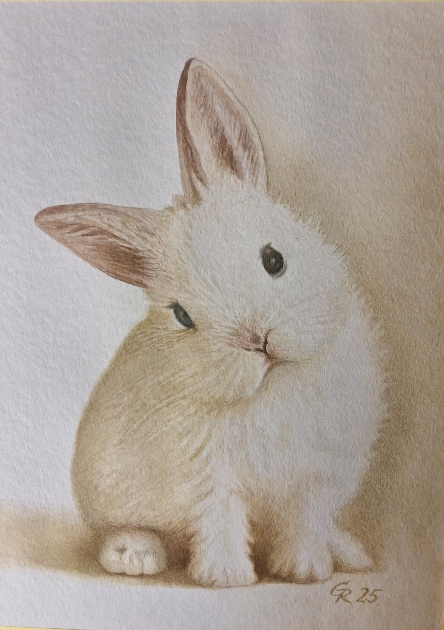 trauriger Hase